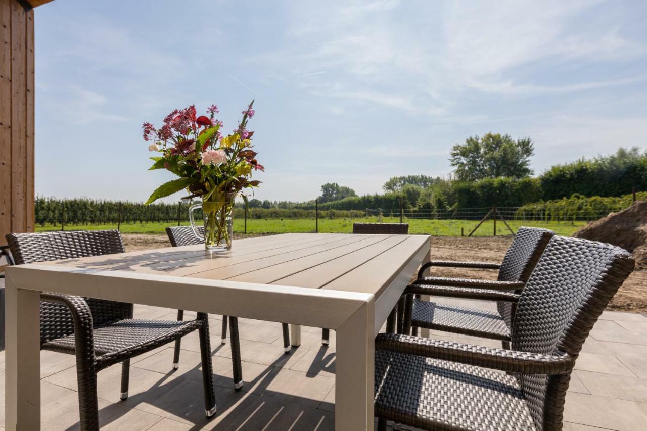 Welcome In - Vakantiehuis 6 En 12 Personen, Vroondijk In Vrouwenpolder Ngoại thất bức ảnh